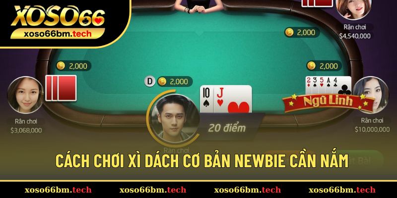 Chia sẻ luật chơi Xì Dách cơ bản nhất