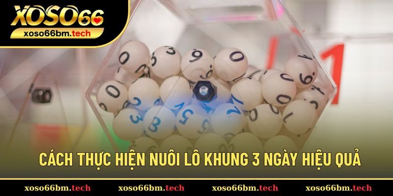 Chia sẻ các bước nuôi lô khung 3 ngày là gì