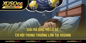 Giải mã giấc mơ lô đề