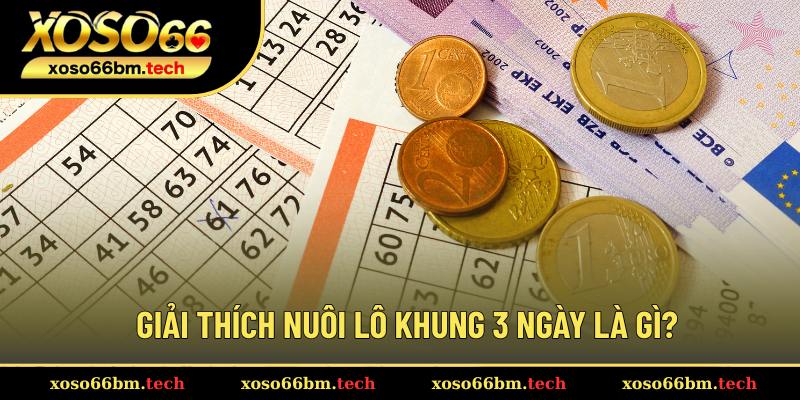 Giải đáp vấn đề nuôi lô khung 3 ngày là gì?