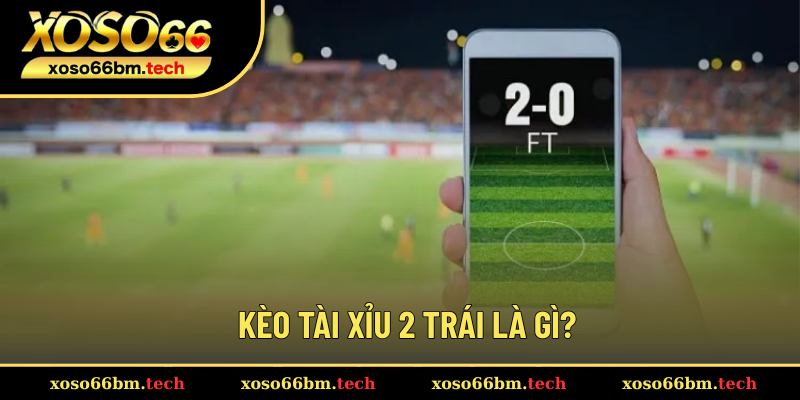 Sơ lược về kèo Tài Xỉu 2 trái