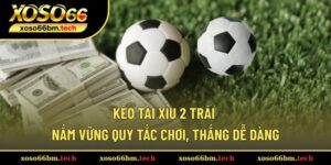 Kèo Tài Xỉu 2 Trái - Kinh Nghiệm Từ A Đến Z Cho Người Mới