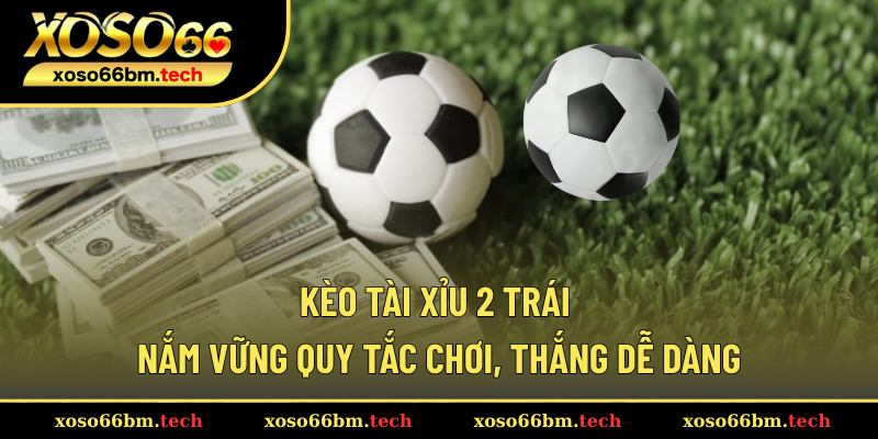 Kèo Tài Xỉu 2 Trái - Kinh Nghiệm Từ A Đến Z Cho Người Mới