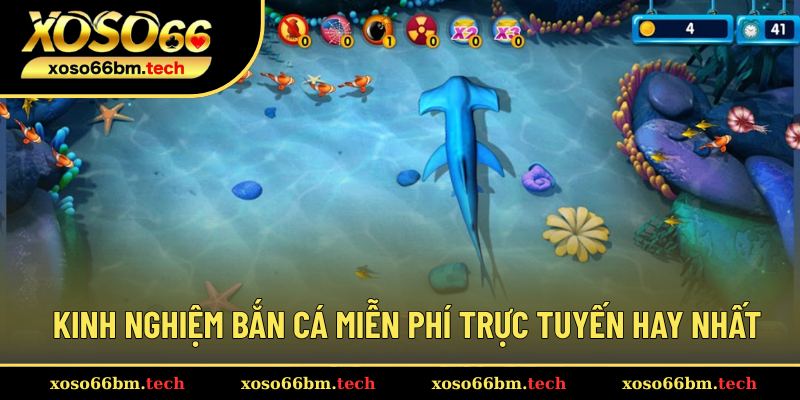 Những mẹo săn cá online miễn phí hiệu quả