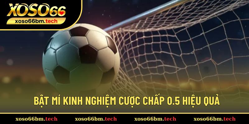 Chia sẻ kinh nghiệm chơi kèo 0.5 hay