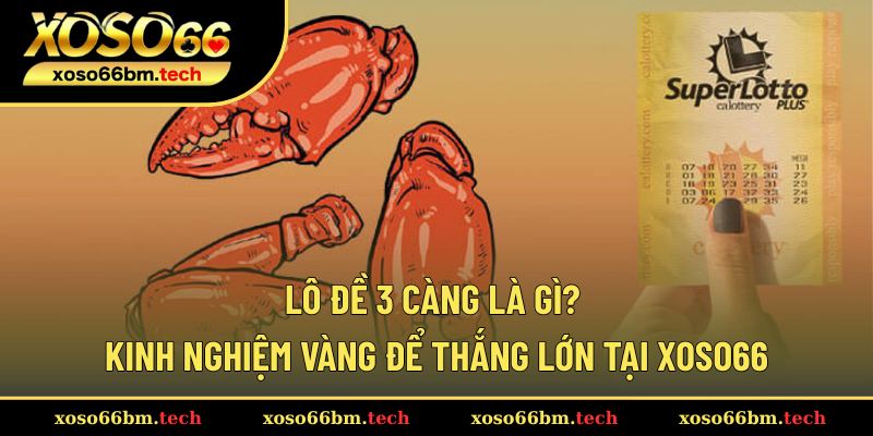 Lô Đề 3 Càng Là Gì? Kinh Nghiệm Vàng Để Thắng Lớn Tại Xoso66