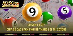 Lô gan là gì