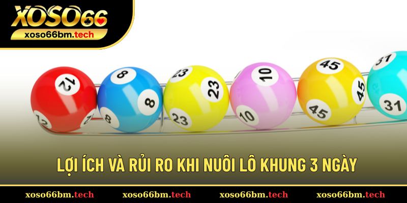 Điểm tích cực và tiêu cực khi nuôi lô khung