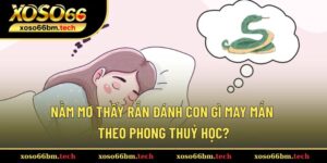 Nằm mơ thấy rắn đánh con gì