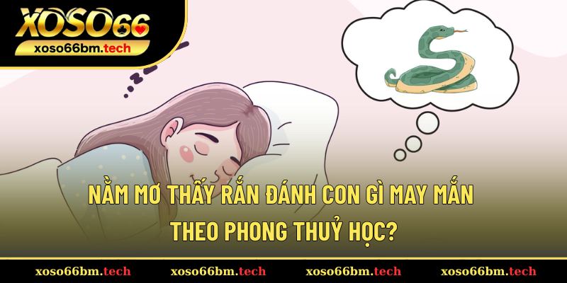 Nằm Mơ Thấy Rắn Đánh Con Gì May Mắn Theo Phong Thuỷ Học