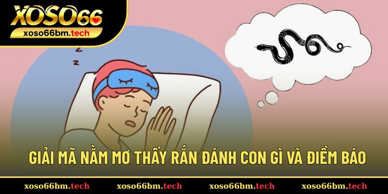 Khám phá số may mắn và điềm báo khi mộng thấy rắn
