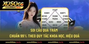 Soi cầu quả trám