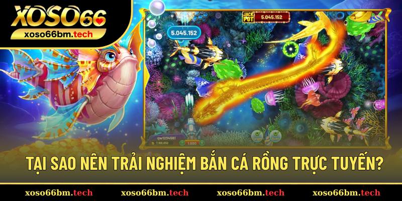 Lợi ích vượt trội khi chơi bắn cá Rồng trực tuyến