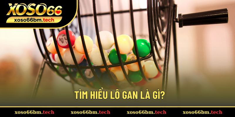 Khám phá khái niệm lô gan là gì